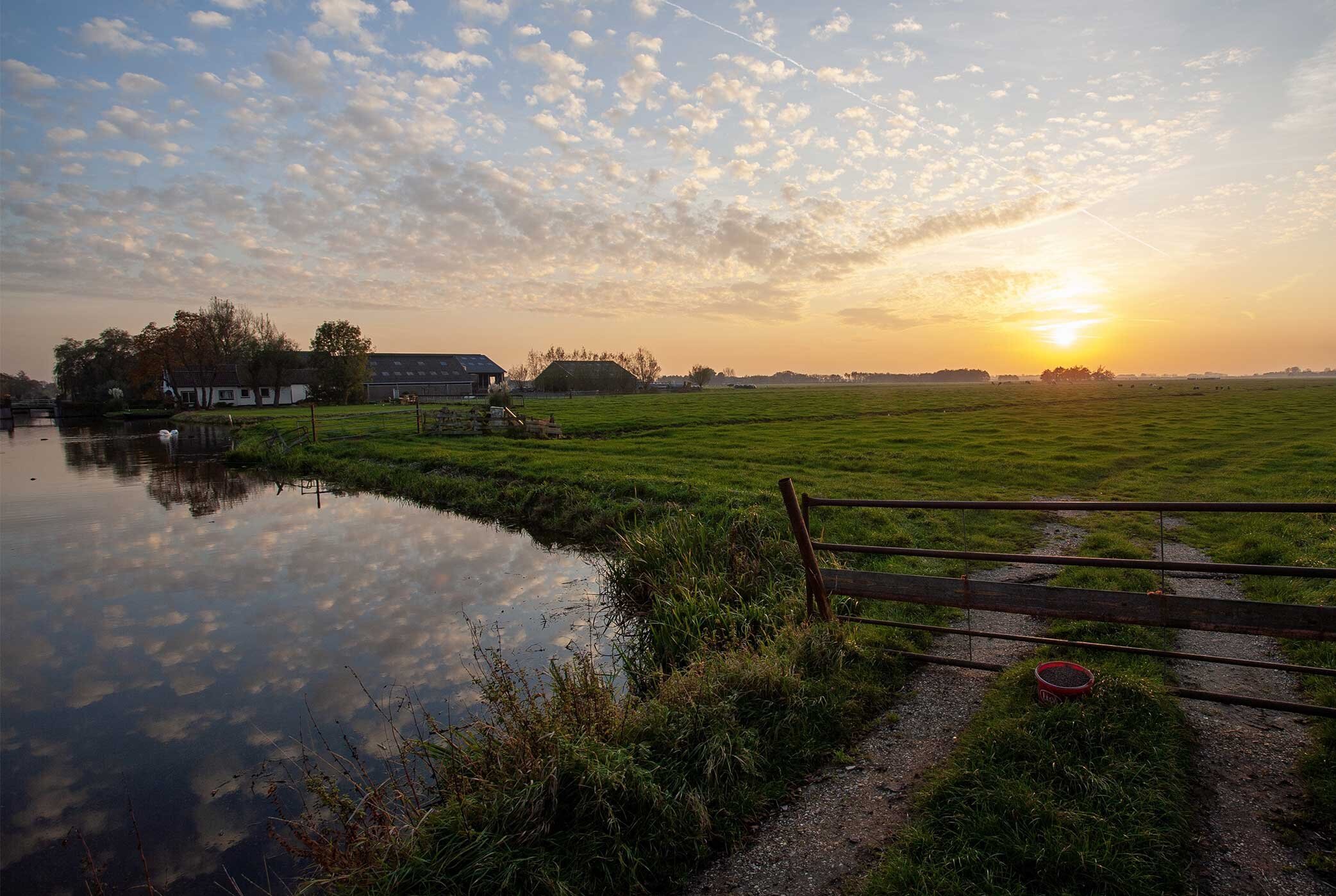 The Citadel Company_KwaliteitsImpuls Groene Omgeving (KGO)